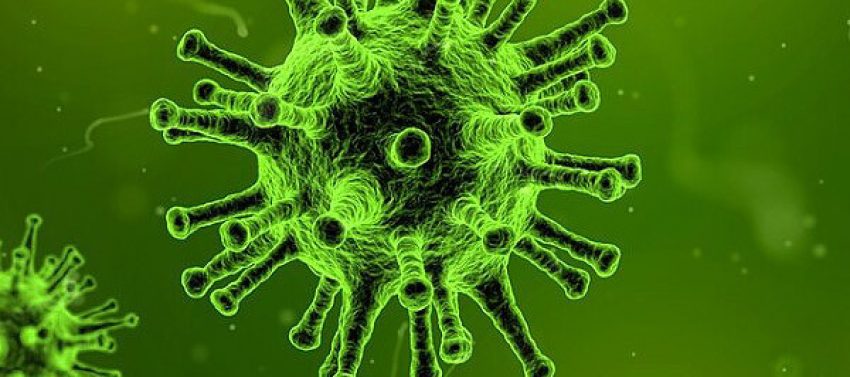 Coronavirus Coronavirus