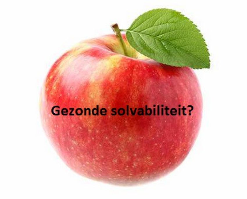 Gezonde Solvabiliteit 1 Gezonde Solvabiliteit 1